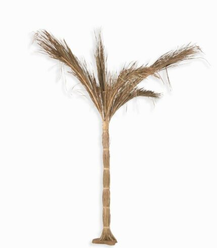 Cocotier déco avec pied