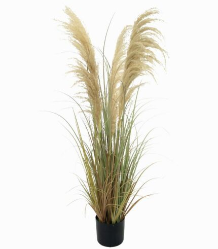 Plante artificielle PAMPA