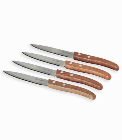Set de 4 couteaux
