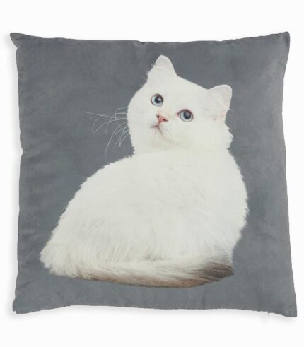 Coussin carré CHAT BLANC sur fond gris