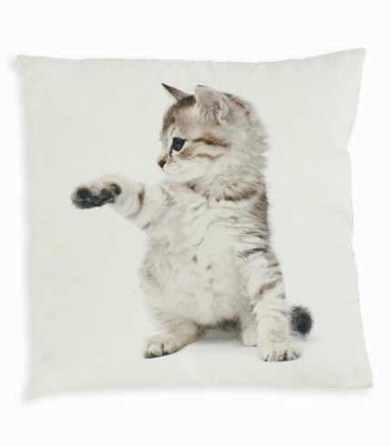 Coussin carré CHATON TIGRÉ