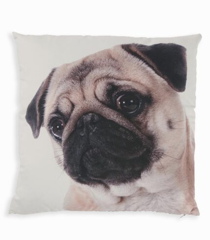 Coussin carré CHIEN