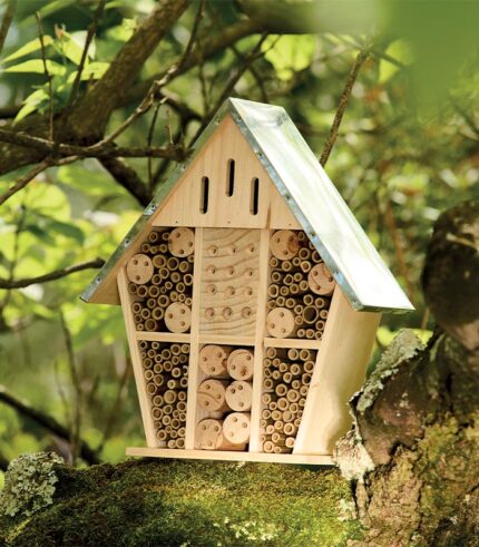 Maison à insectes en bois