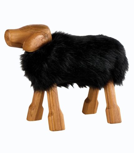 Chien fourrure noire